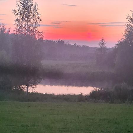 Domek Hynka Hotell Brodnica  Eksteriør bilde